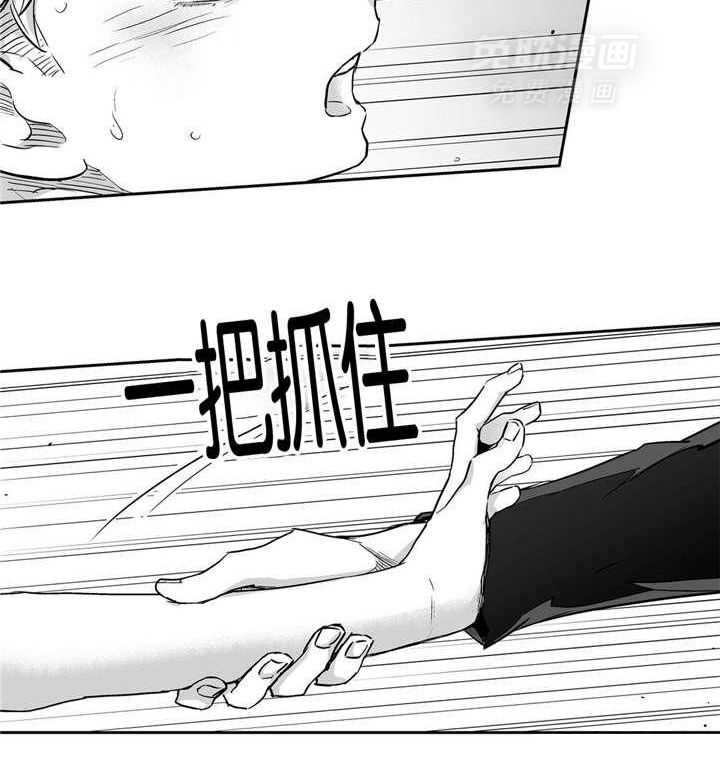 爱情是幻想（共2季） 第10话 第5页