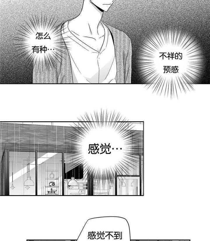 爱情是幻想（共2季）第19话图