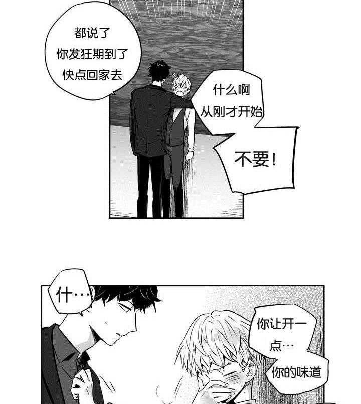 爱情是幻想（共2季）第2话图