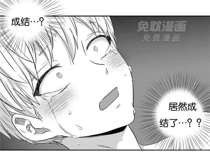 爱情是幻想（共2季）第21话图