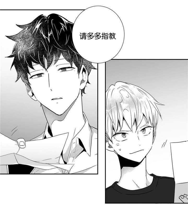 爱情是幻想（共2季）第24话图