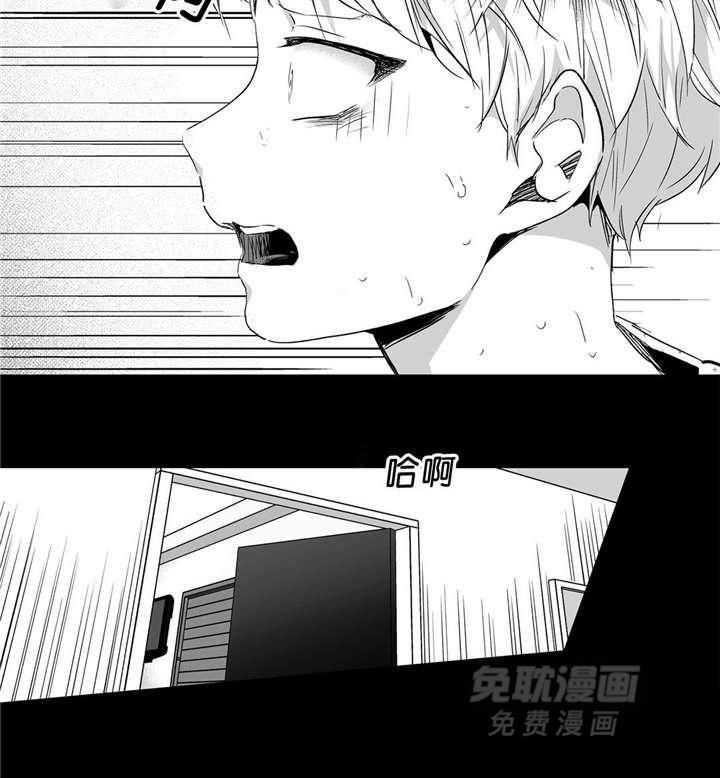 爱情是幻想（共2季）第40话图