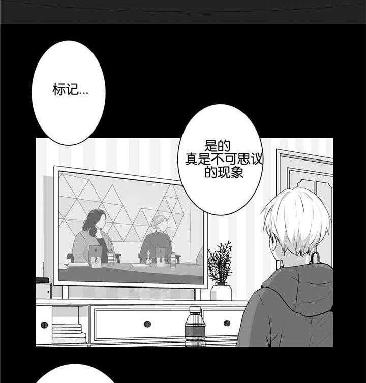 爱情是幻想（共2季） 第49话 第13页