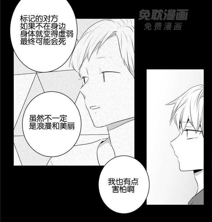 爱情是幻想（共2季） 第49话 第14页