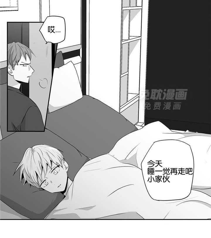 爱情是幻想（共2季）第49话图