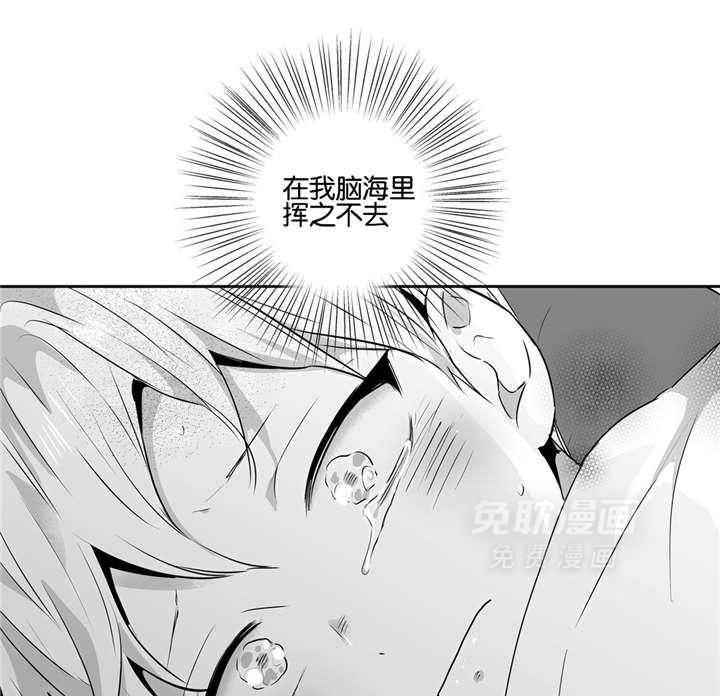 爱情是幻想（共2季）第49话图