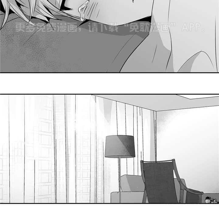 爱情是幻想（共2季）第49话图