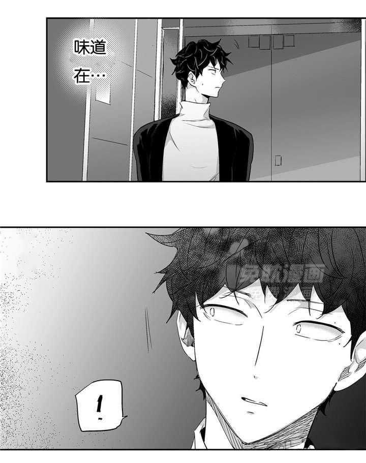 爱情是幻想（共2季）第9话图