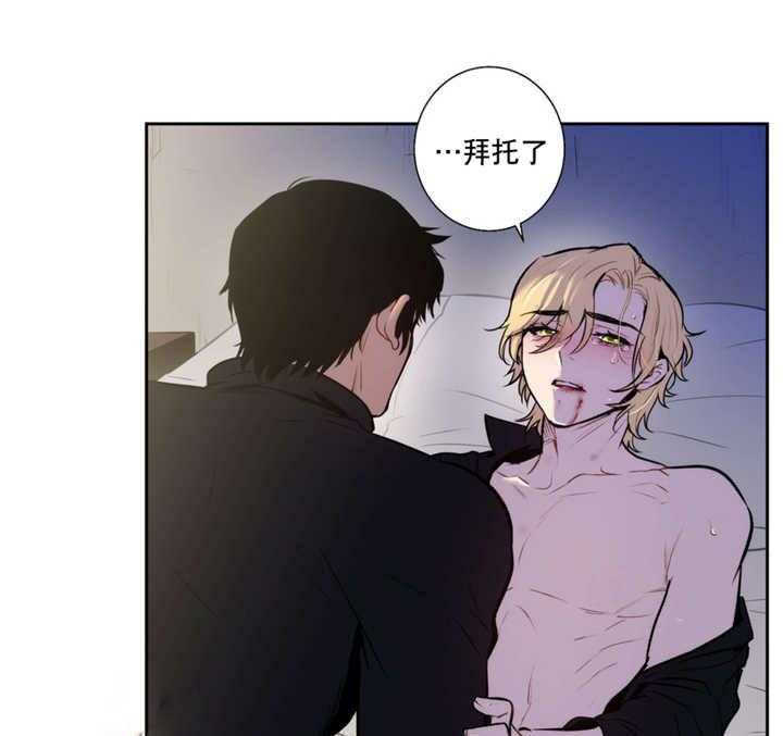 爱上吸血鬼第61话图