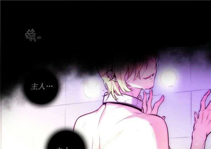 爱上吸血鬼第62话图