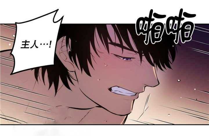 爱上吸血鬼第68话图