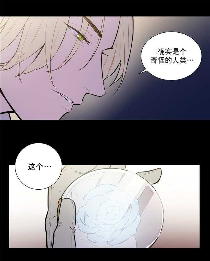 爱上吸血鬼第74话图