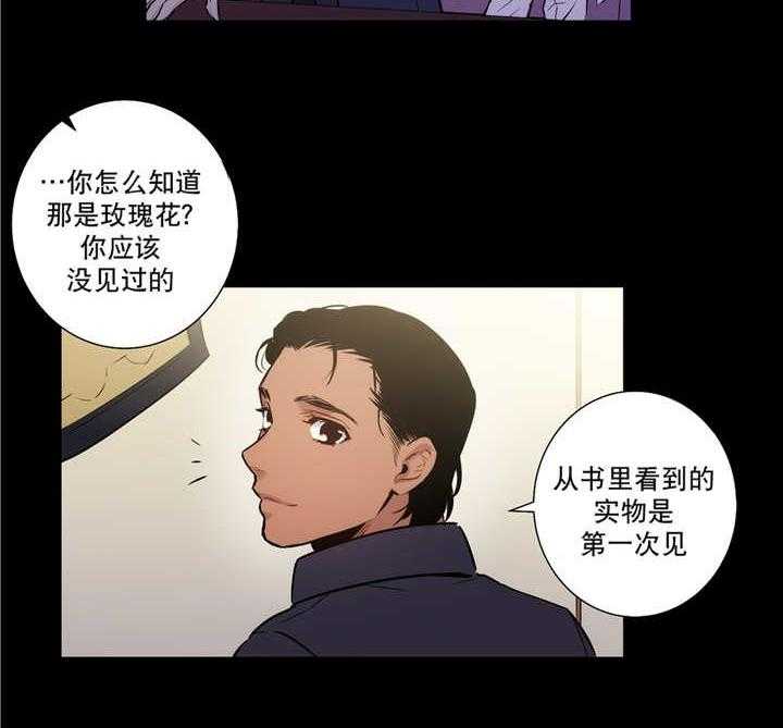 爱上吸血鬼第75话图