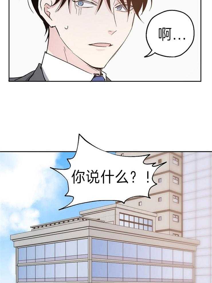 爱情的成功几率第11话图