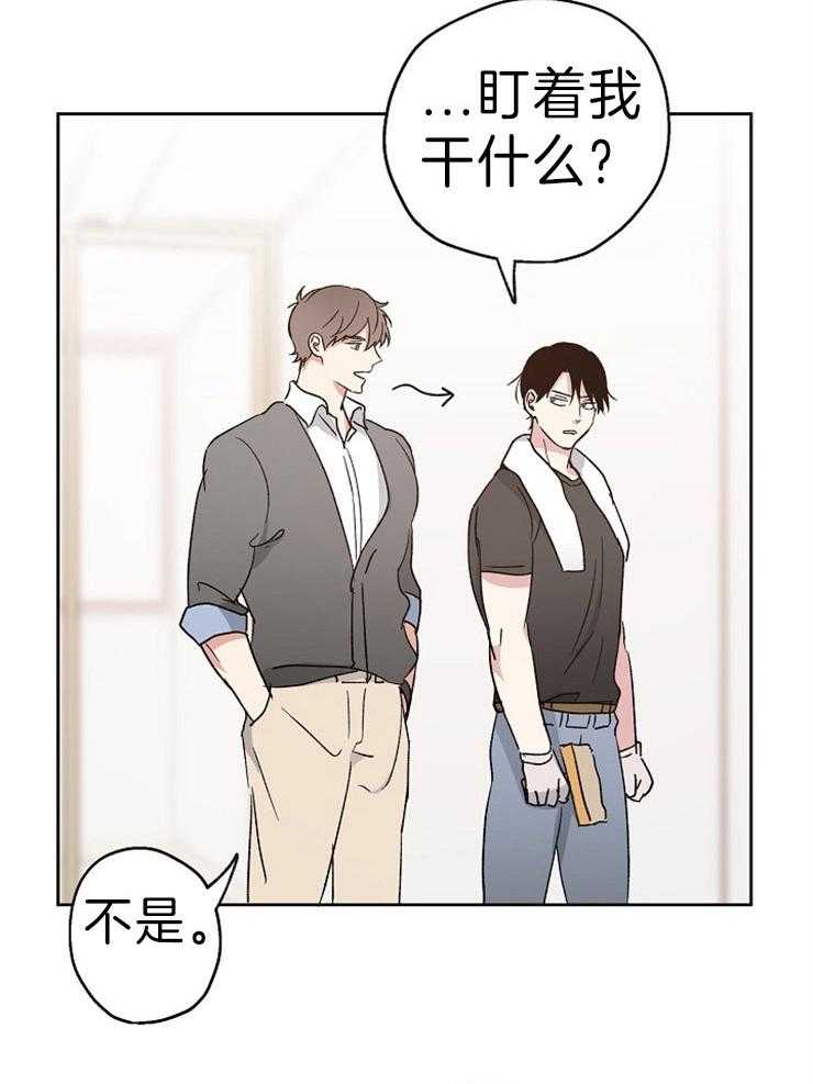 爱情的成功几率第11话图