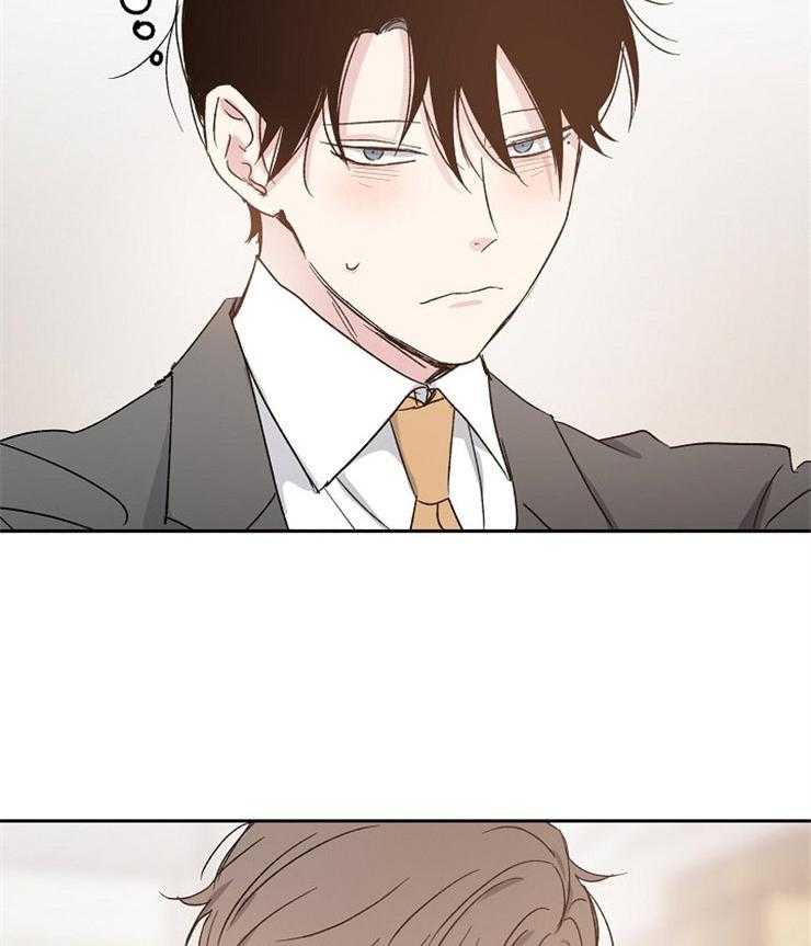 爱情的成功几率第15话图