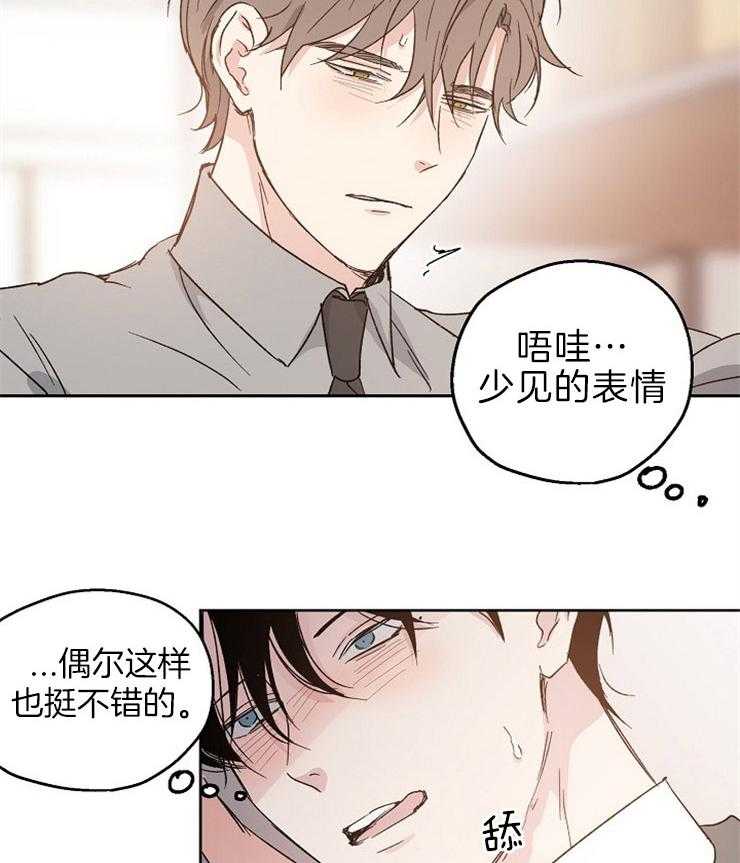 爱情的成功几率第15话图