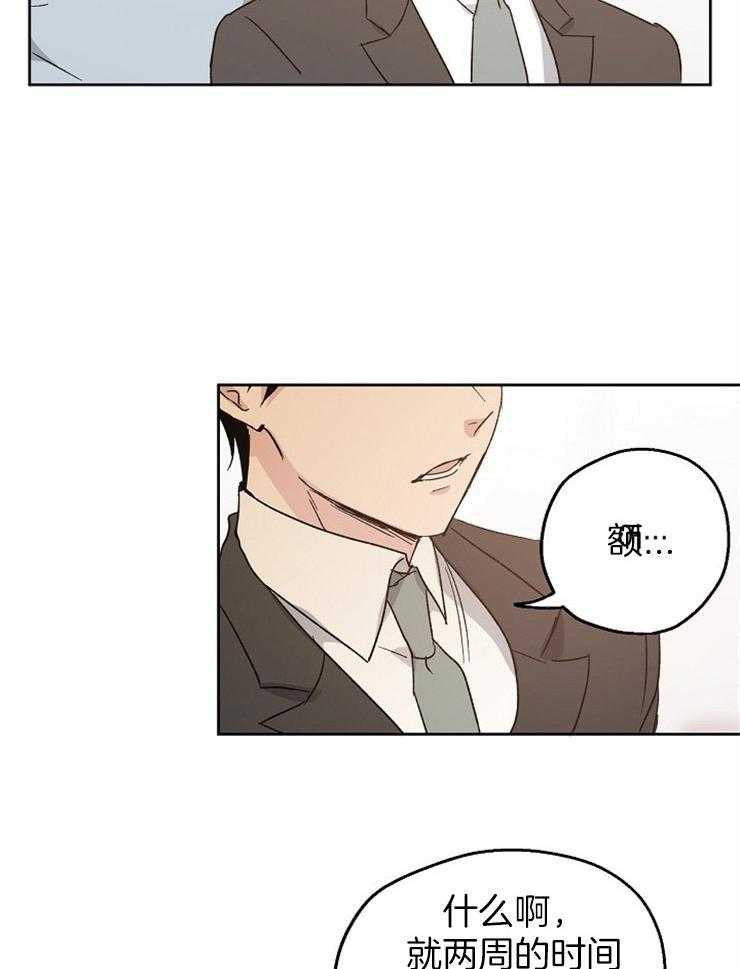 爱情的成功几率第17话图