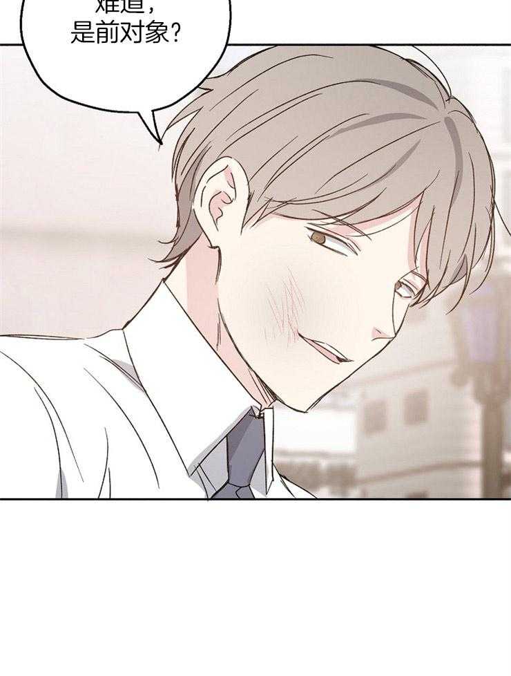 爱情的成功几率第20话图