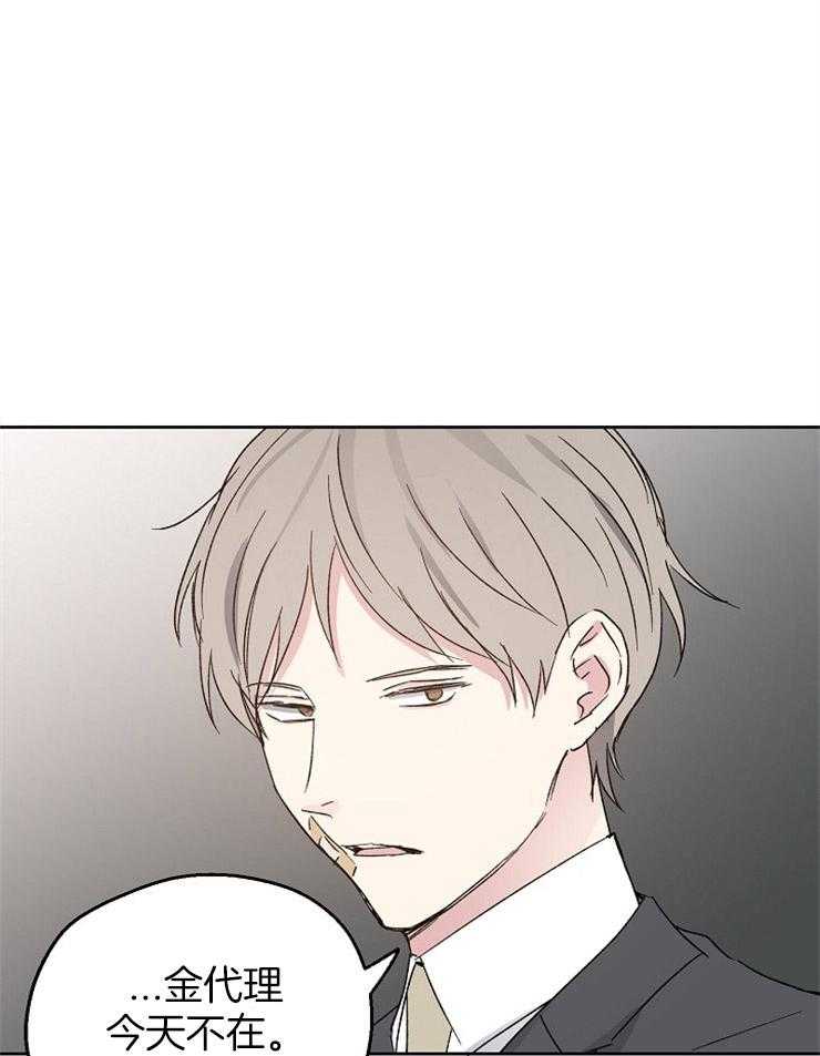 爱情的成功几率第24话图