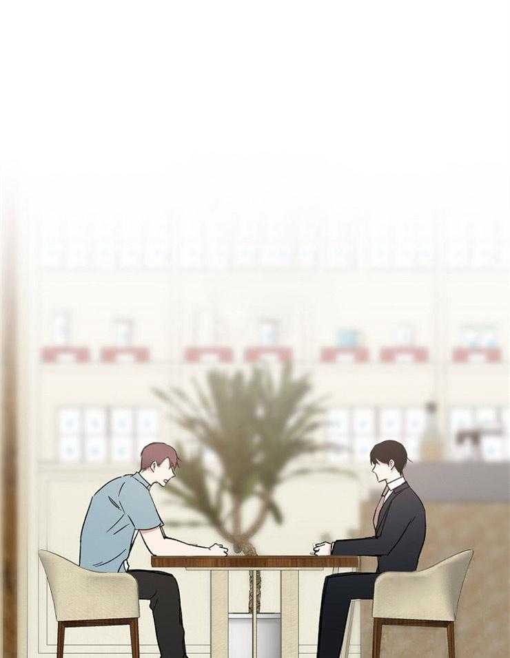 爱情的成功几率第29话图