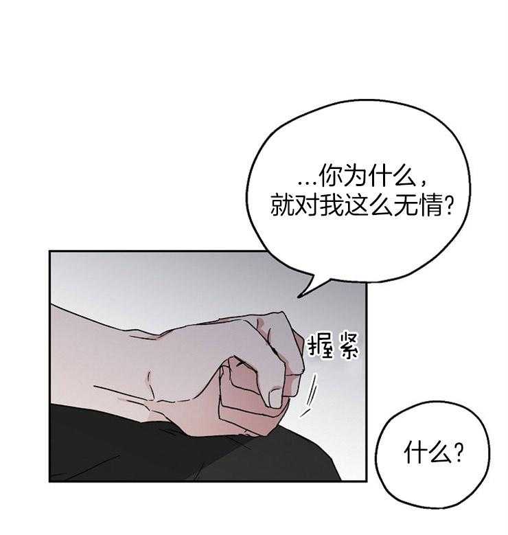 爱情的成功几率第30话图