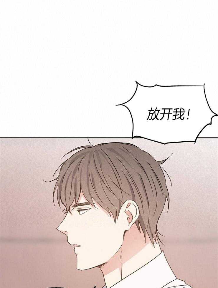 爱情的成功几率第31话图