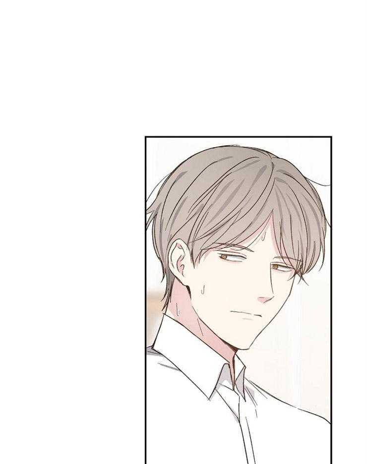 爱情的成功几率第37话图