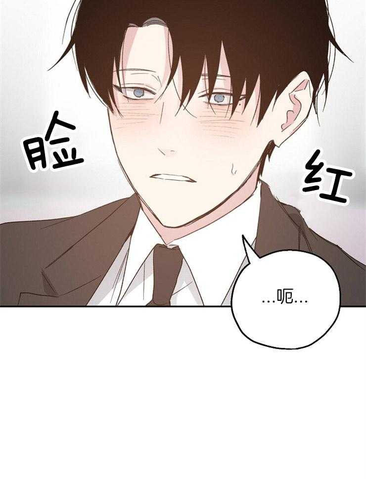 爱情的成功几率第44话图