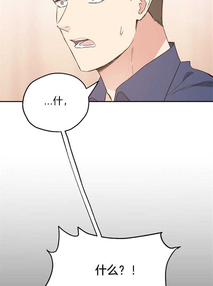 爱情的成功几率第45话图