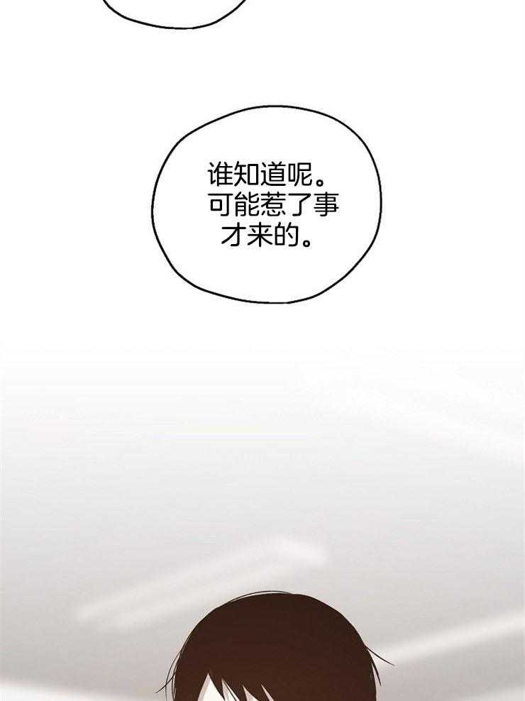 爱情的成功几率第47话图