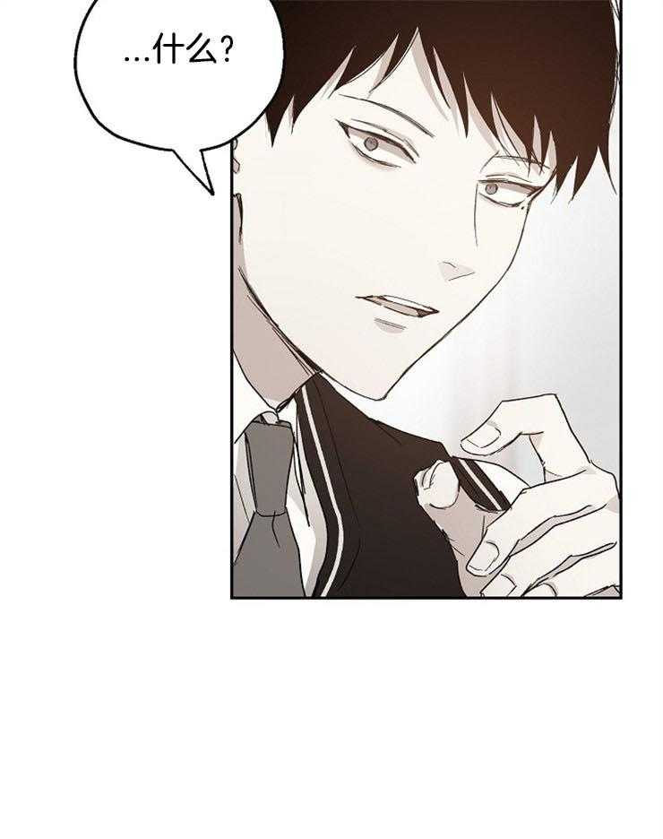 爱情的成功几率第47话图