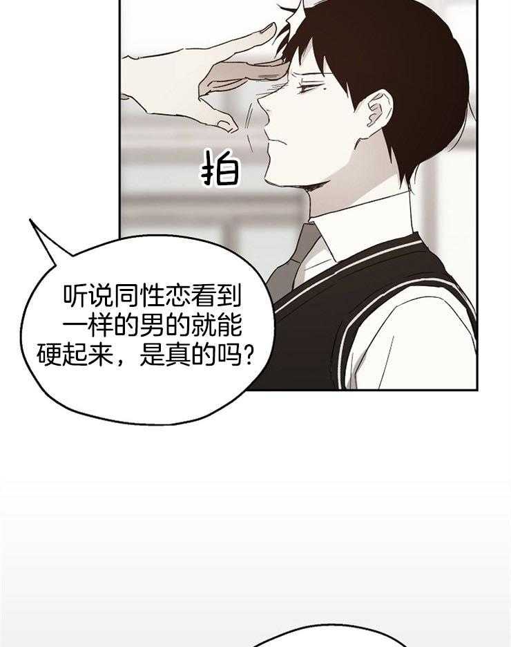 爱情的成功几率第47话图