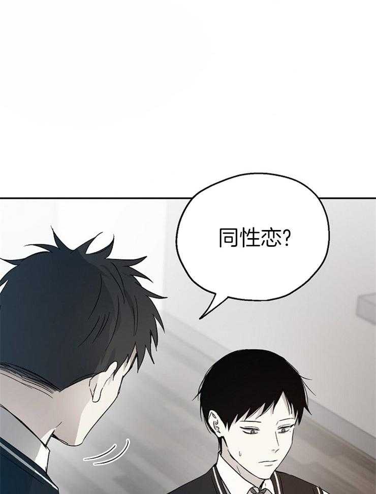 爱情的成功几率第48话图