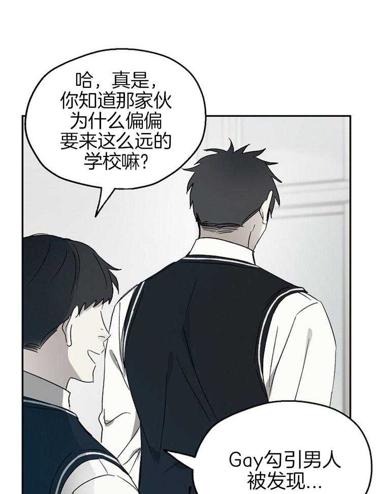 爱情的成功几率第48话图
