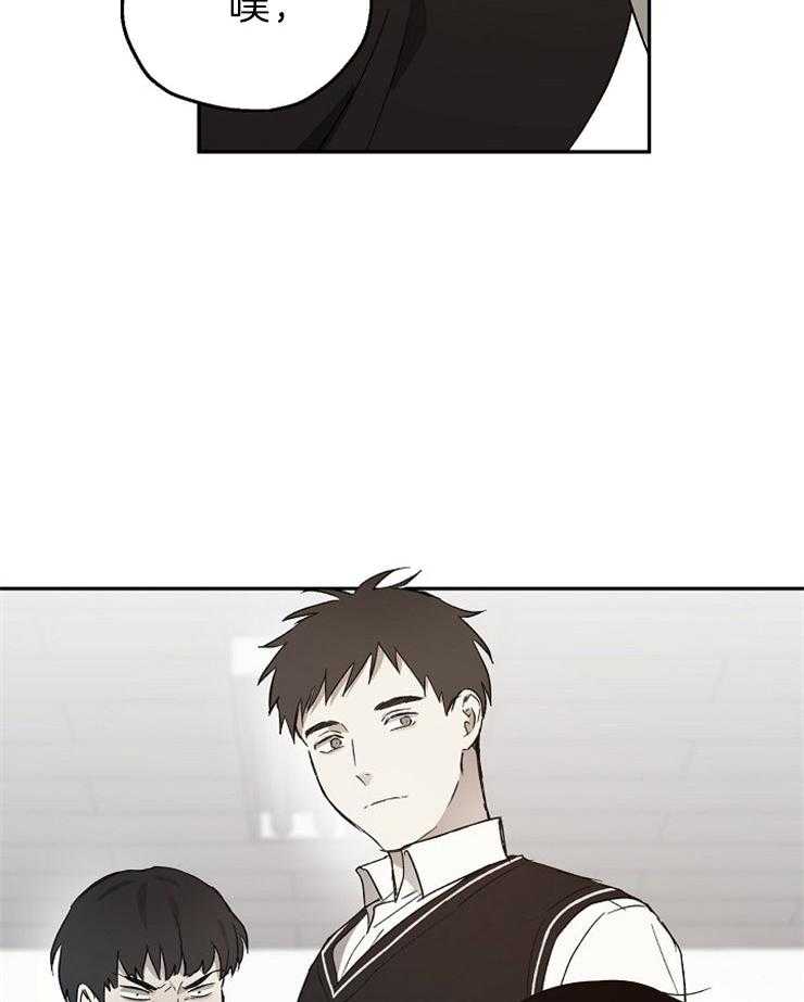 爱情的成功几率第48话图