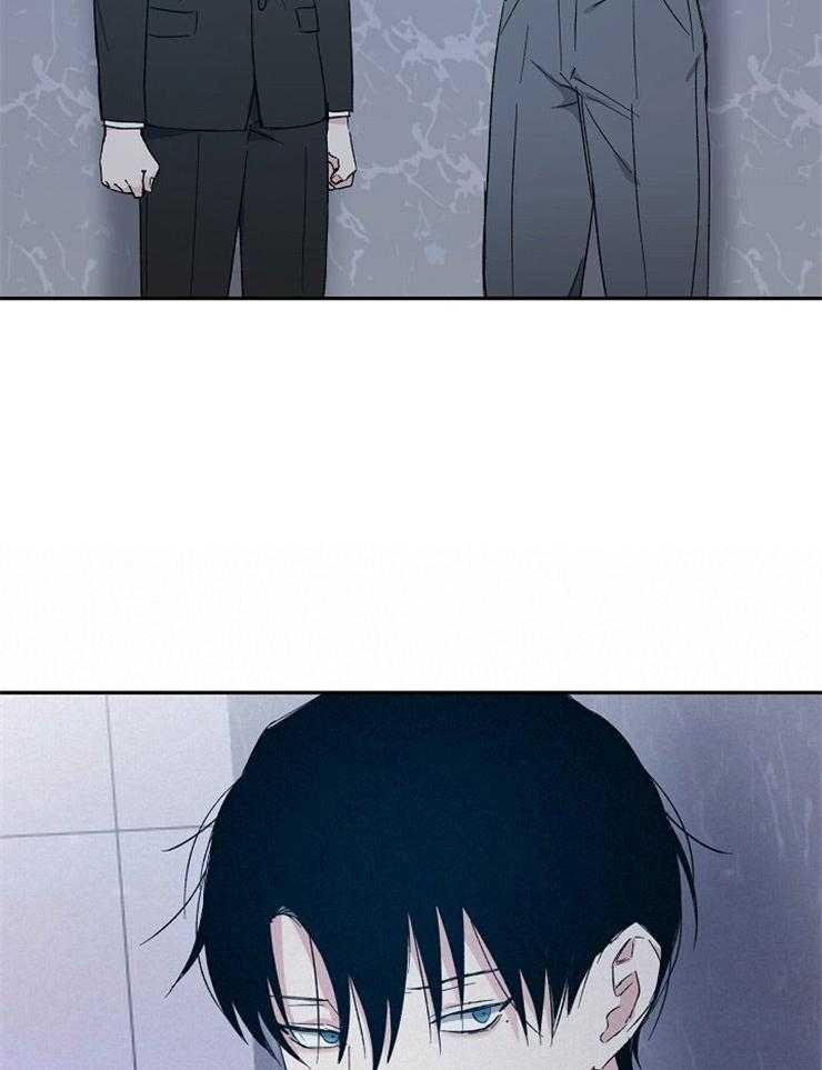 爱情的成功几率第49话图