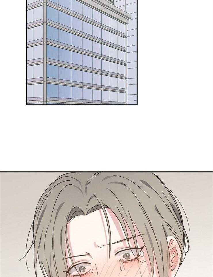 爱情的成功几率第51话图