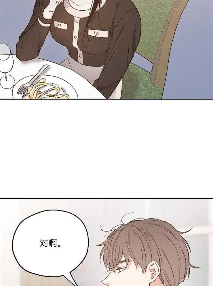 爱情的成功几率第51话图