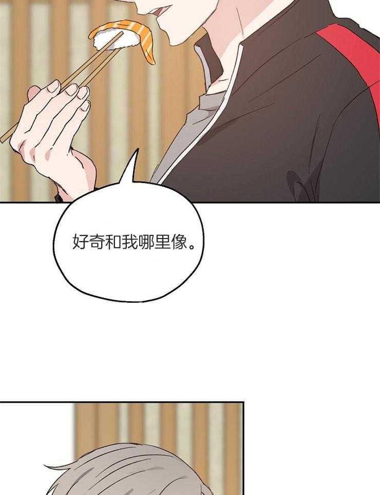 爱情的成功几率第56话图