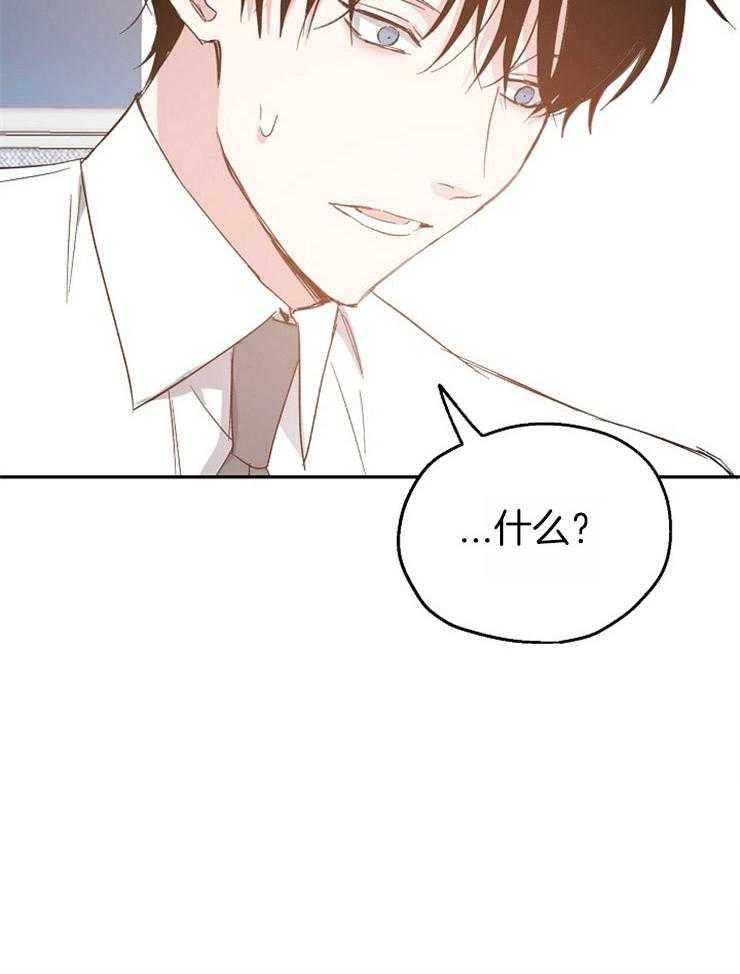 爱情的成功几率第60话图