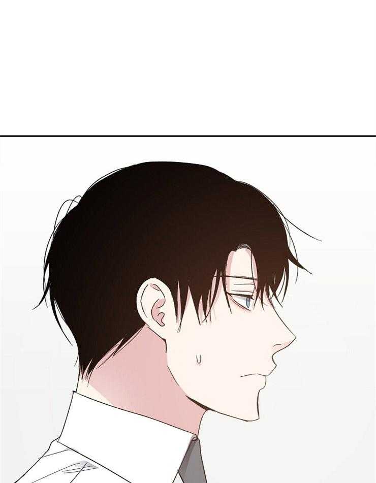 爱情的成功几率第62话图