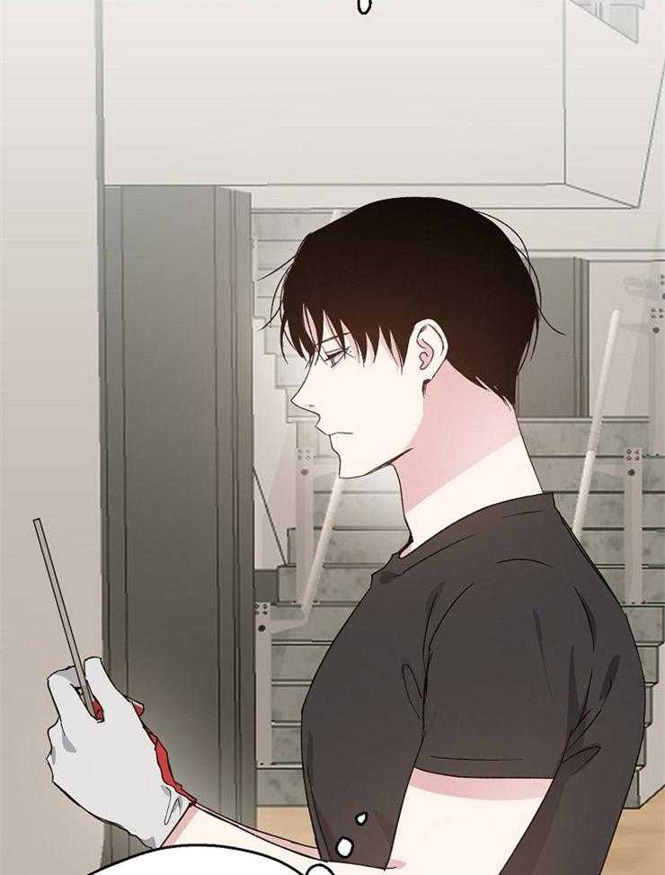 爱情的成功几率第62话图