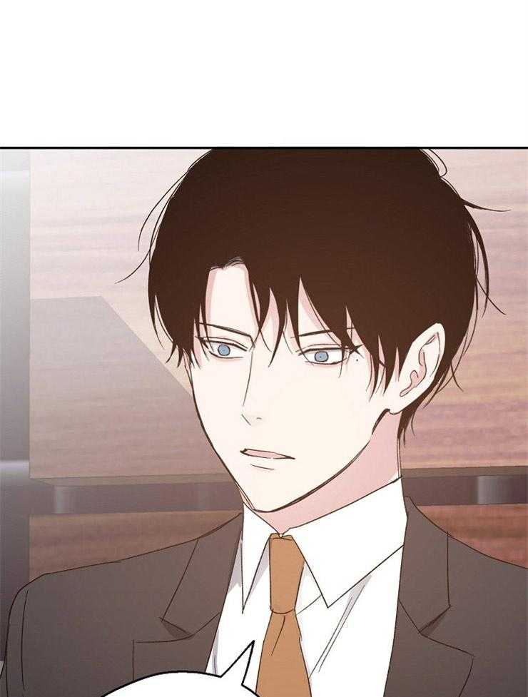 爱情的成功几率第65话图