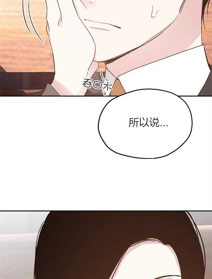 爱情的成功几率第65话图