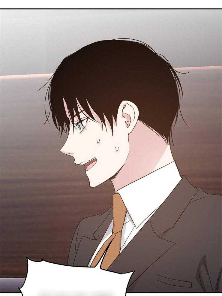 爱情的成功几率第65话图