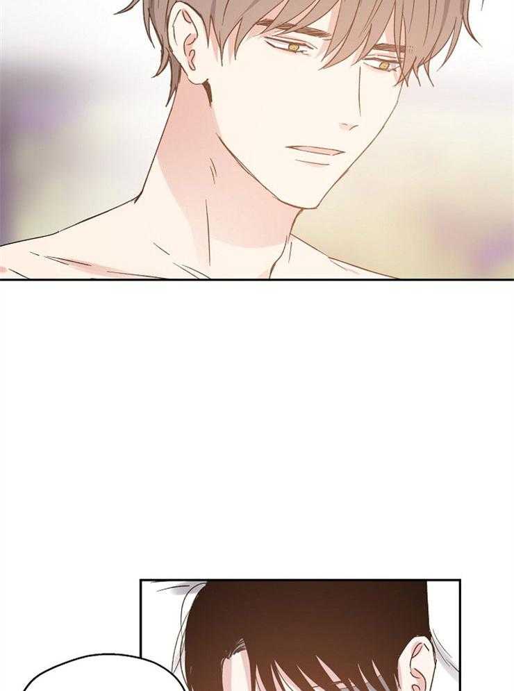 爱情的成功几率第67话图