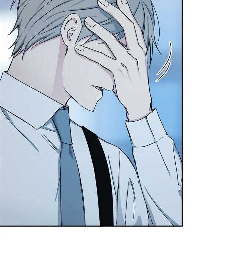 爱情的成功几率第84话图