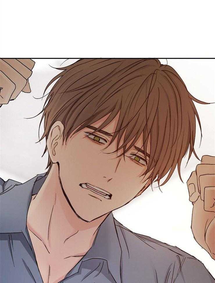 爱情的成功几率第85话图