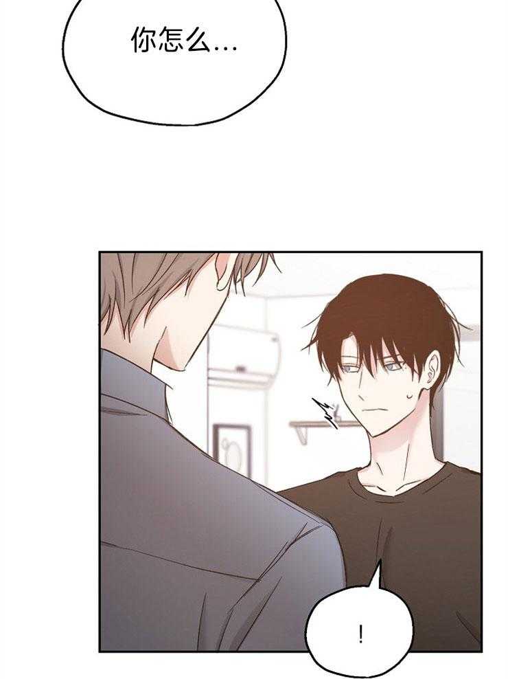 爱情的成功几率第85话图